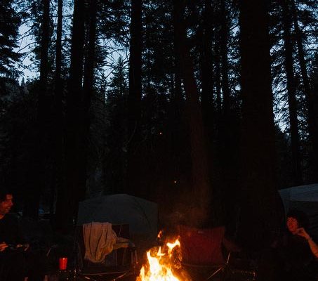 Sequoia camping